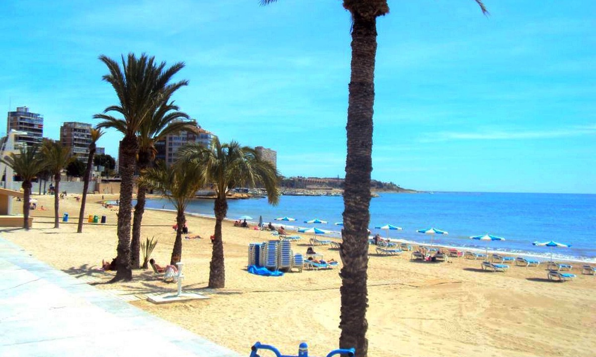 L'Albufereta Apartment | Apartment with garden, 4 km. Alicante and 600 meters from the beach