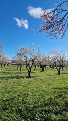 La Puebla de Castro Apartment | Casa albañil, aptos en la Ribagorza, arte, ciclismo, naturaleza y enoturismo, entre Graus y Torreciudad