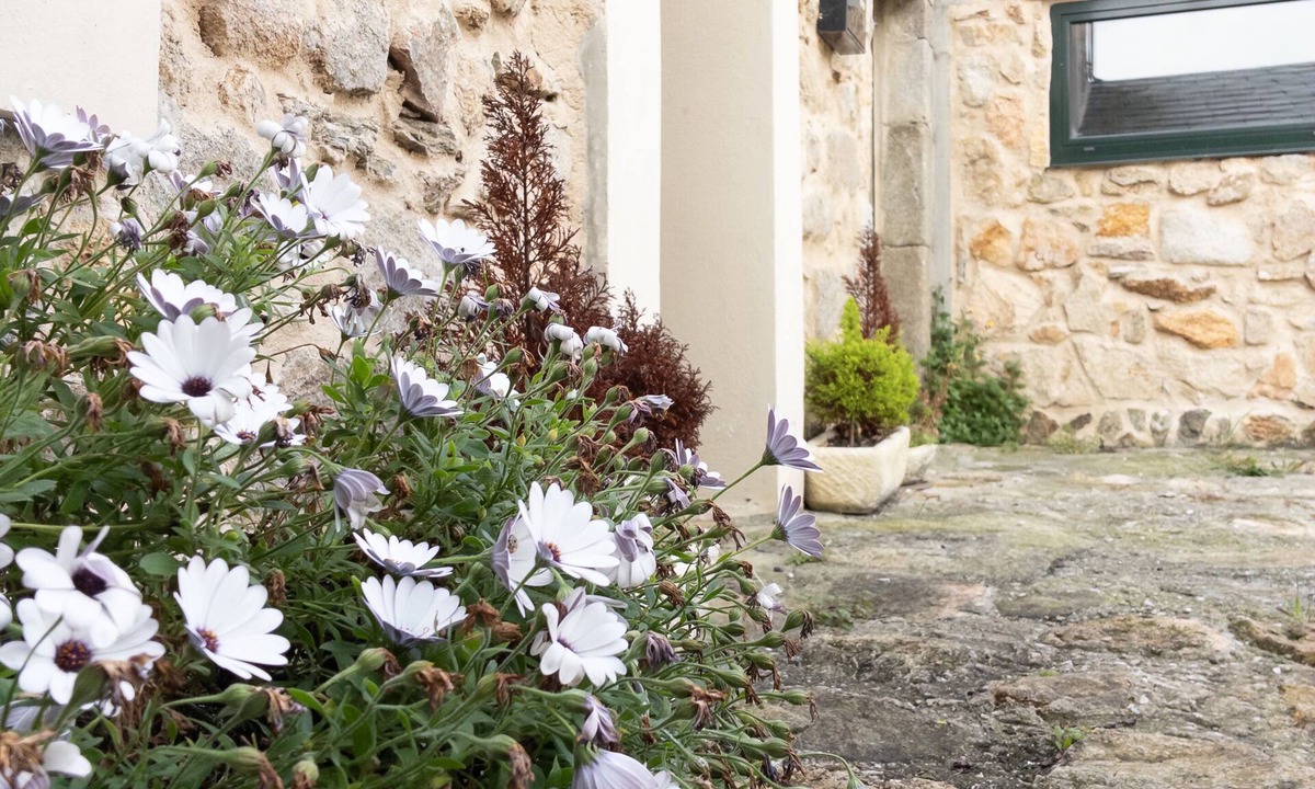 O Vicedo Apartment | East of Livinggaliciabeach