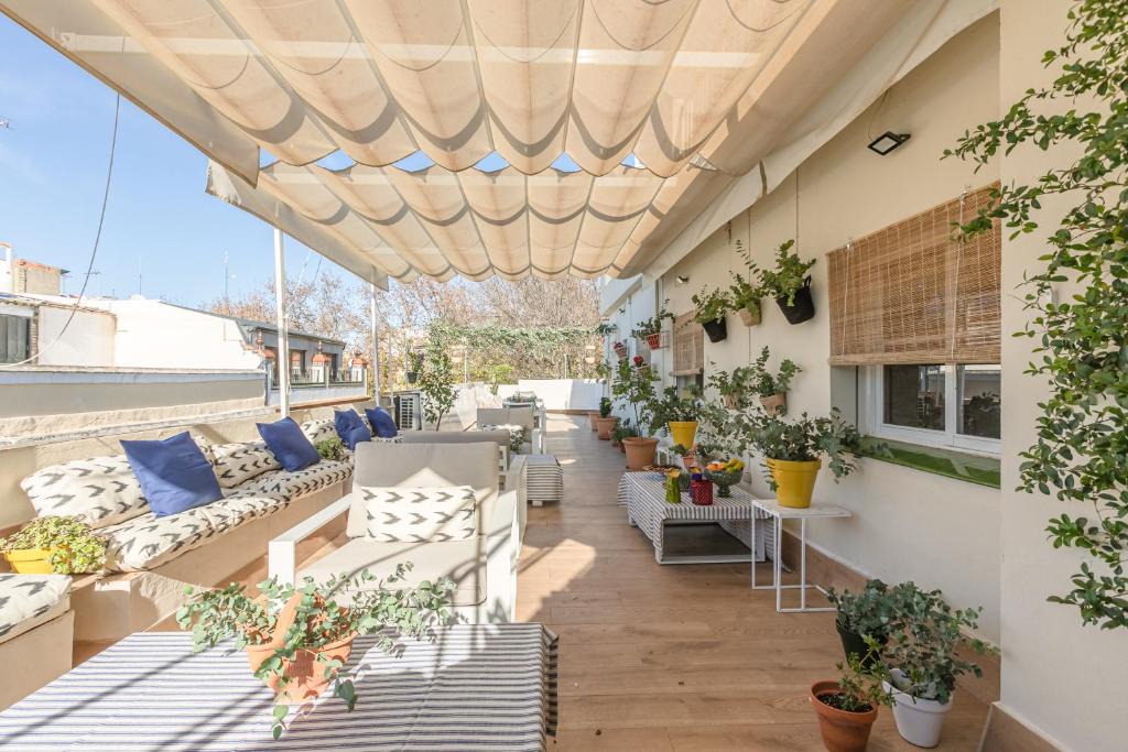 Alameda House | nüa alameda