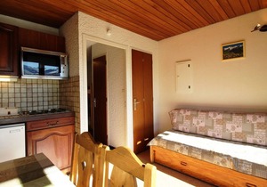 Studio cabin at the foot of the slopes with balcony and free parking, near shops - Auris en Oisans in Auris