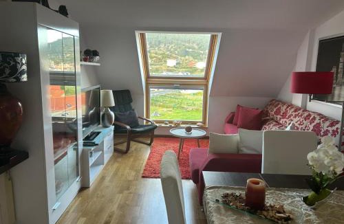 Carino Apartment | Atalaya de Pondal O Bardo do Monte