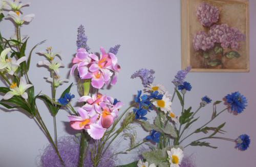 Polverigi Bed & Breakfast | B&B Timeout