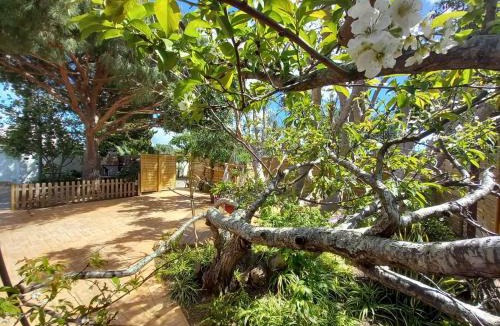 Los Franceses-la Vega House | Countryside villa & private Covered Pool
