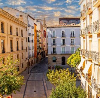 Logrono Historic Centre Apartment | EDIFICIO 1521