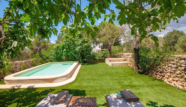 Amazing home in Algaida with private swimming pool, can be inside or outside