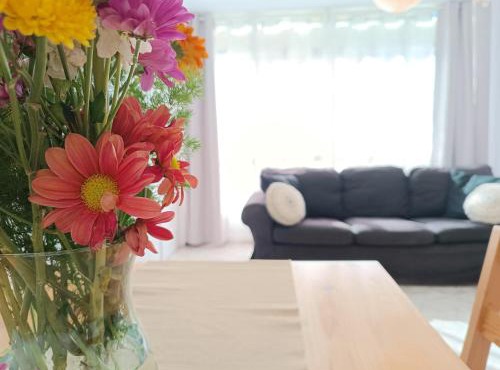 Apartamento en la Playa - Alicante, Costa Blanca