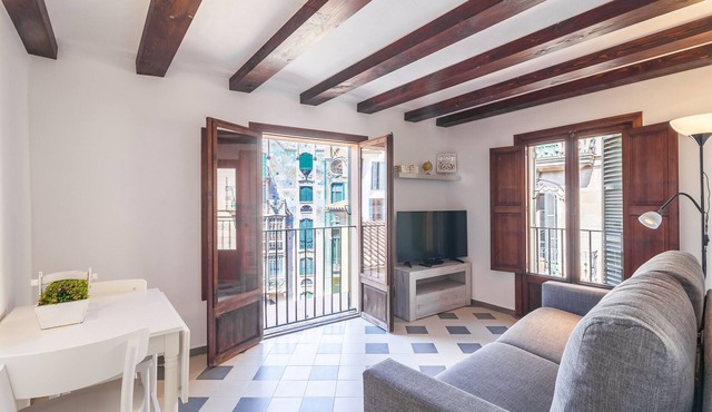 Apartamento Can Boss TI Barques