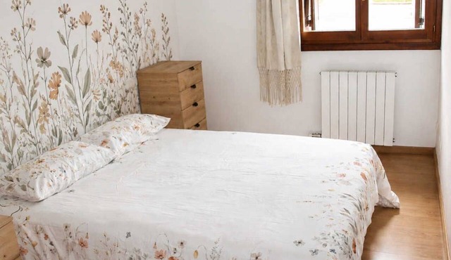Apartment in the heart of the Pyrenees