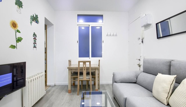 Atocha Station - Two-bedroom apartment