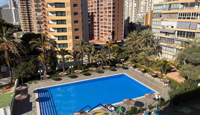 Bermuda Vibes Benidorm Pool View Terrace