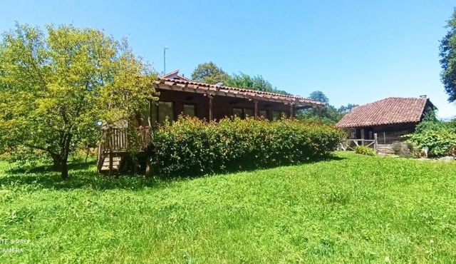 Cabaña del Molinero