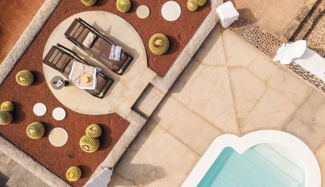 Canaryislandshost I Esencia