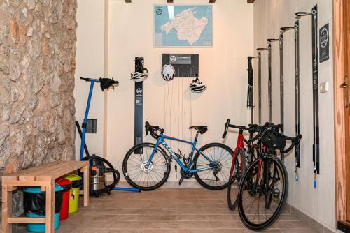 Casa Bella Mirada Pro Cycling