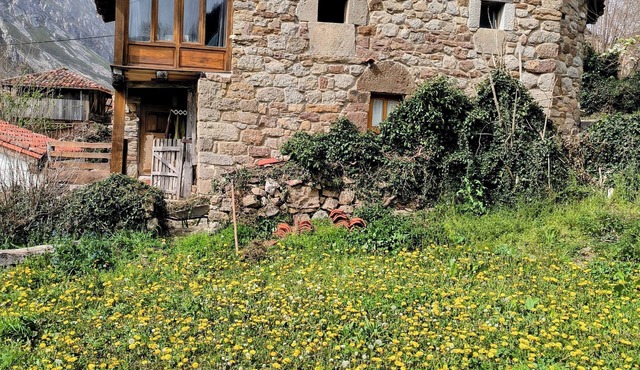 Casa La Parra, Asturian tradition and wild environment.