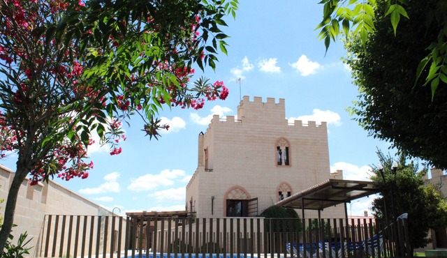 Castillos con encanto en el Robledo - Ciudad Real. 13+15 personas. con AC