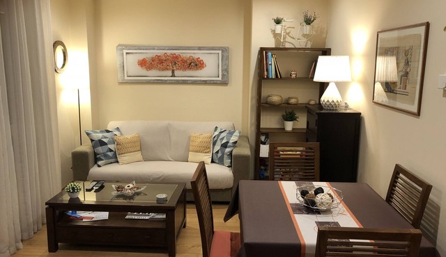 Central Luxury Suite. Parking Included