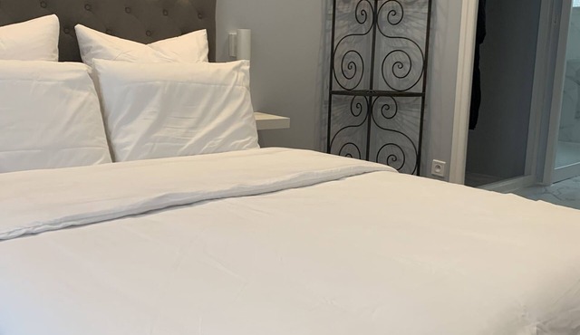 Charming Eiffel Tower Appartement in Paris