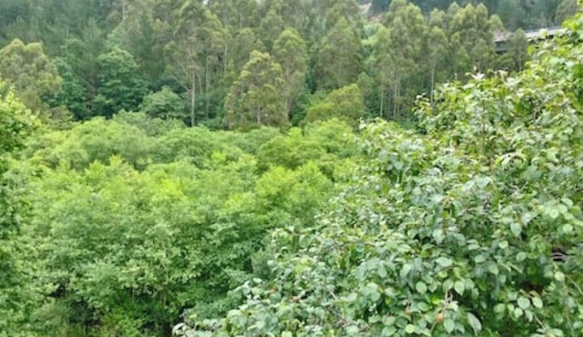 COTTAGE IN CUDILLERO in mountain 2 km from the village and two km from beaches.
