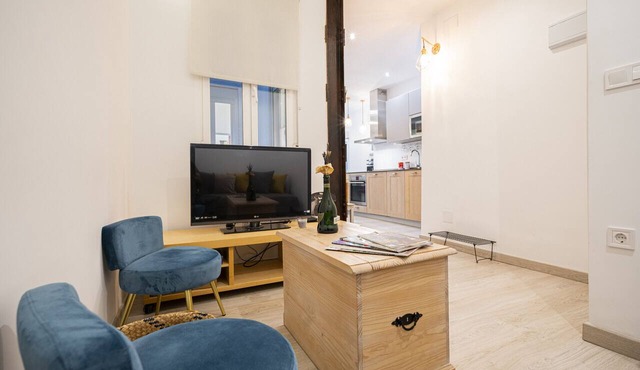 COZY APARTMENT IN THE NEIGHBORHOOD OF SALAMANCA JOG48
