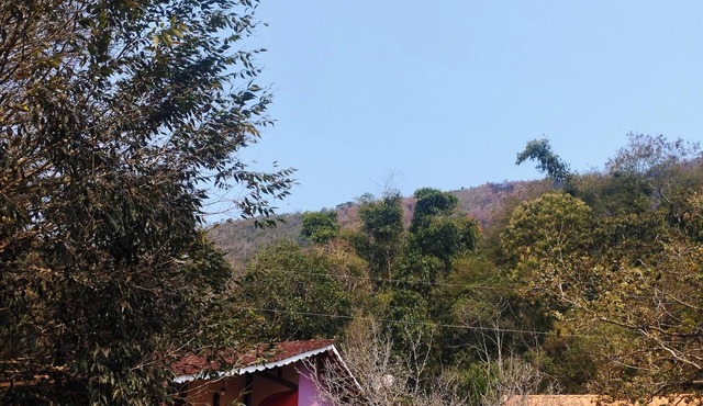 Cozy chalet in Lumiar to enjoy nature in the middle of the Atlantic Forest.
