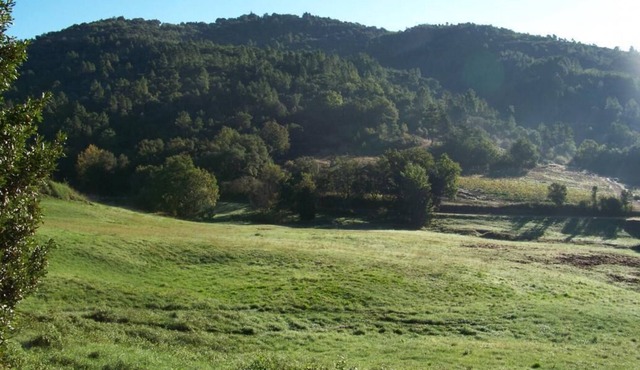 Gîte de Tanneron lumiran d'or in Tanneron