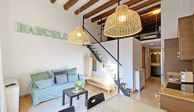 Gray House. Nice apartment next to Plaza España in Barcelona