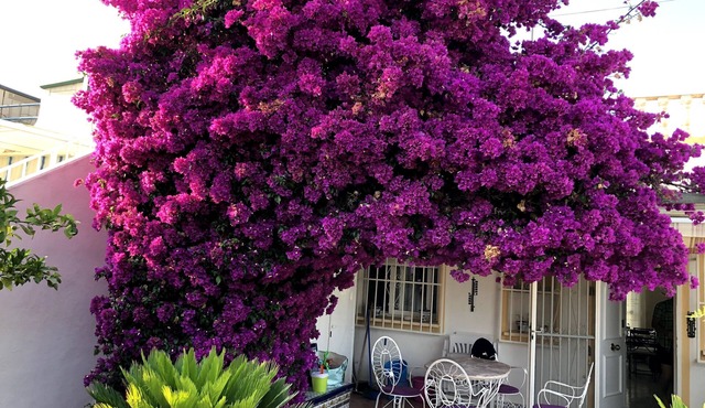 La Nucia - quiet location with sea views
