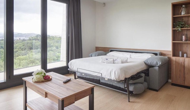MANTULENE Apartments - Basque Stay