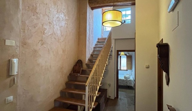 Renovated house with fireplace, next to hiking trails in a natural park