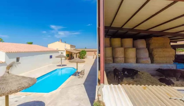 Sa Caseta De Ses Vaques.son Covas - Country House