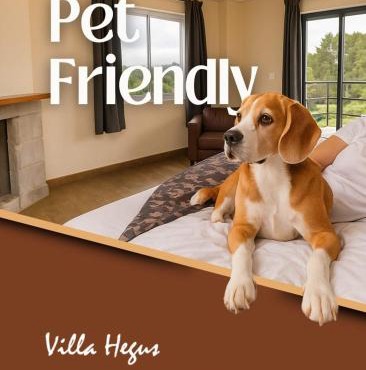 Suites e Chales petfriendly com ar, hidro e lareira