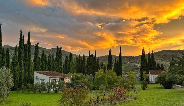 Vacation Rental/Apartment for 3 Guests, 45 m², in Olvera (267435)