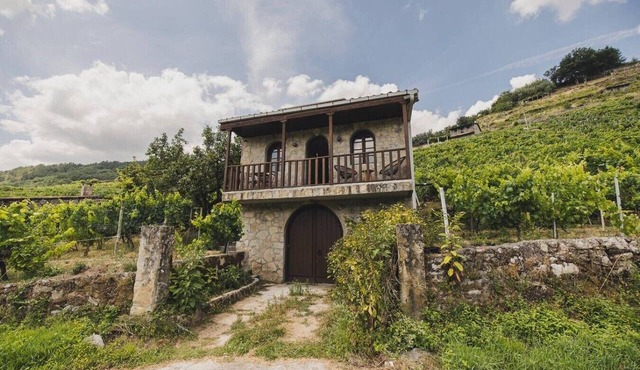 Vineyards & Views of the Miño · Ribeira Sacra