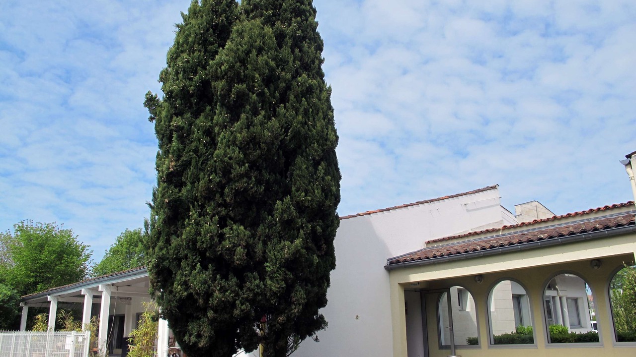 Photo of Buildings in Saintes