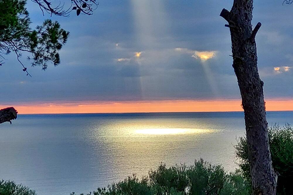 Photo of Outdoor in Es Llombards