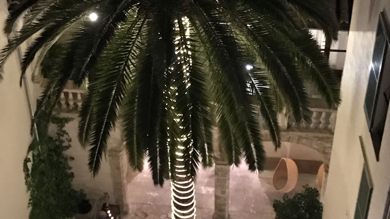 Photo of Patio Balcony in La Llotja-Born