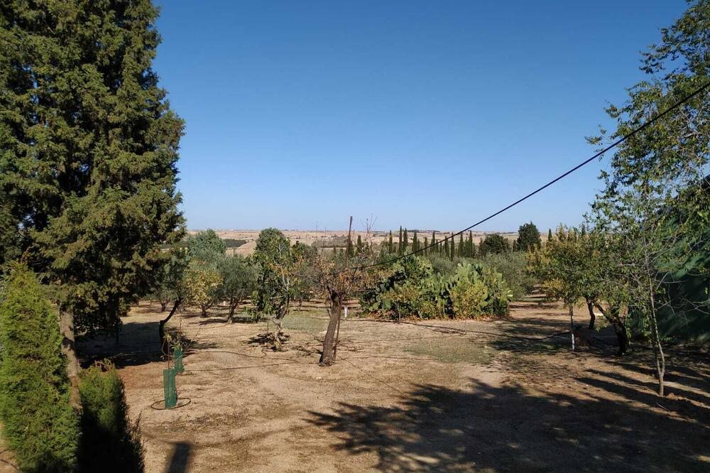 Photo of Outdoor in Batres