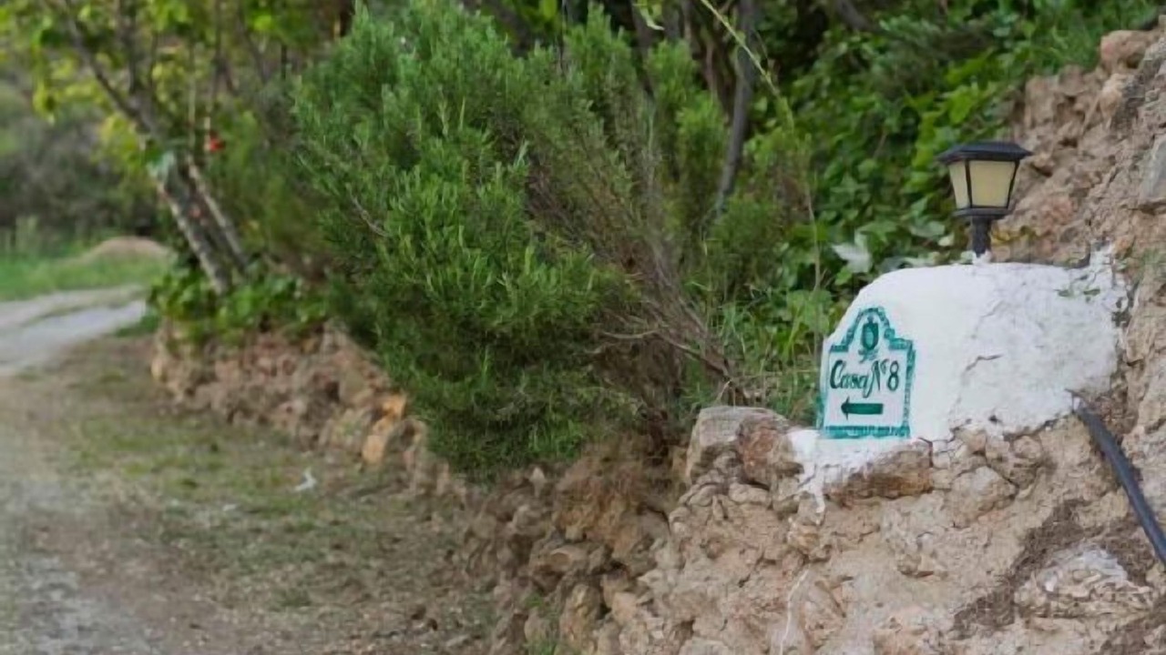 Photo of Outdoor in La Zubia
