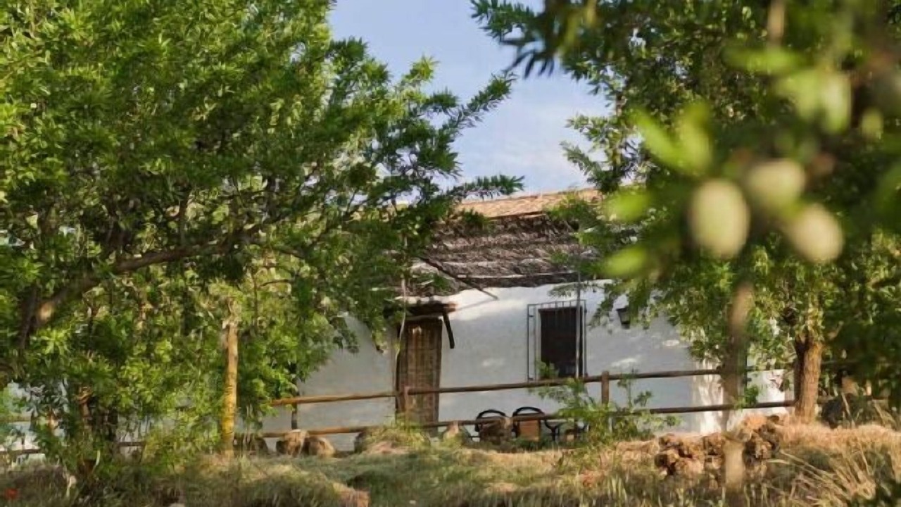 Photo of Outdoor in La Zubia