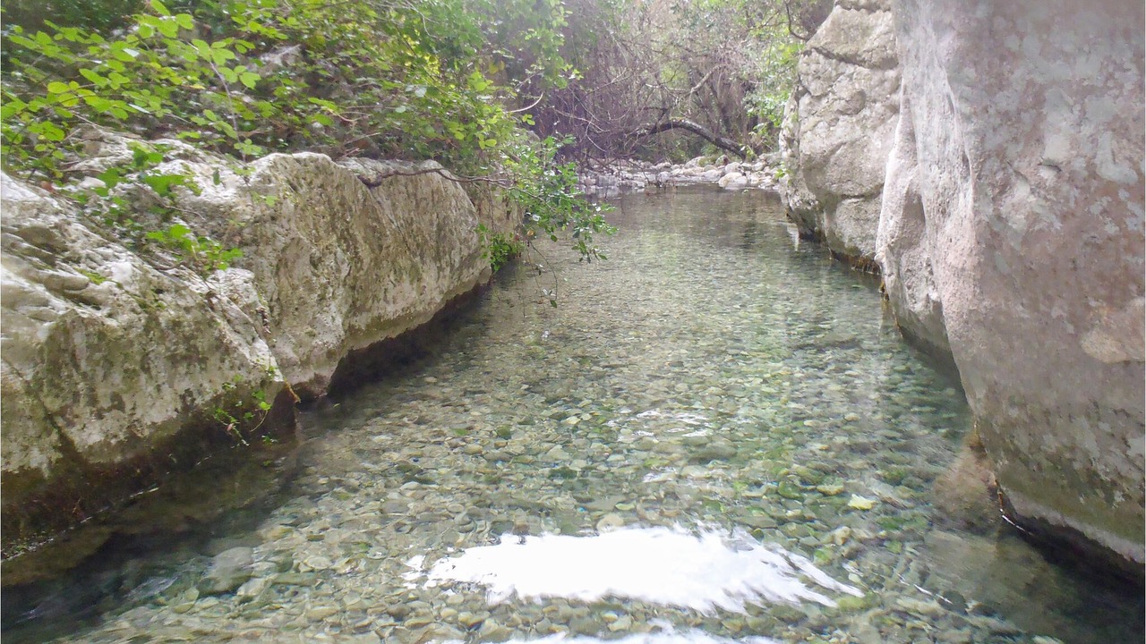 Photo of Others in Jubrique