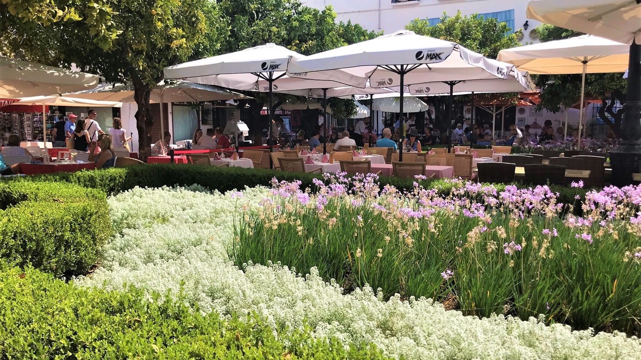 Photo of Outdoor in El Paraiso