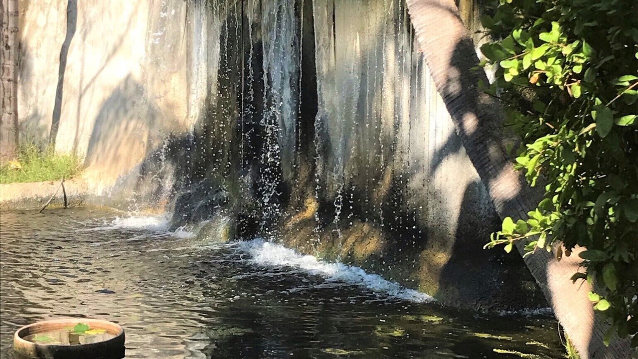 Photo of Outdoor in El Paraiso