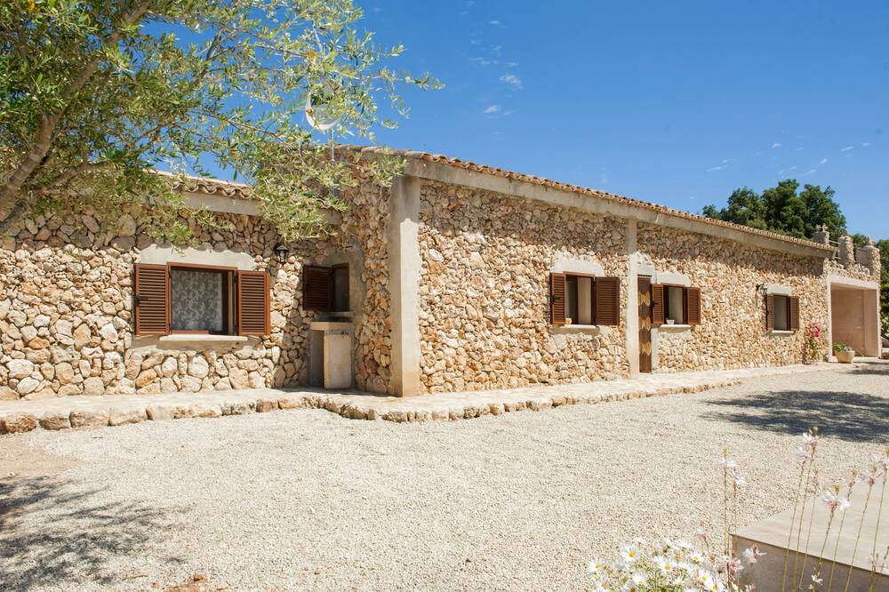 Photo of Outdoor in Costitx