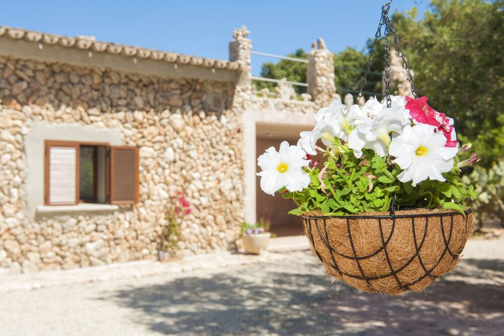 Photo of Outdoor in Costitx