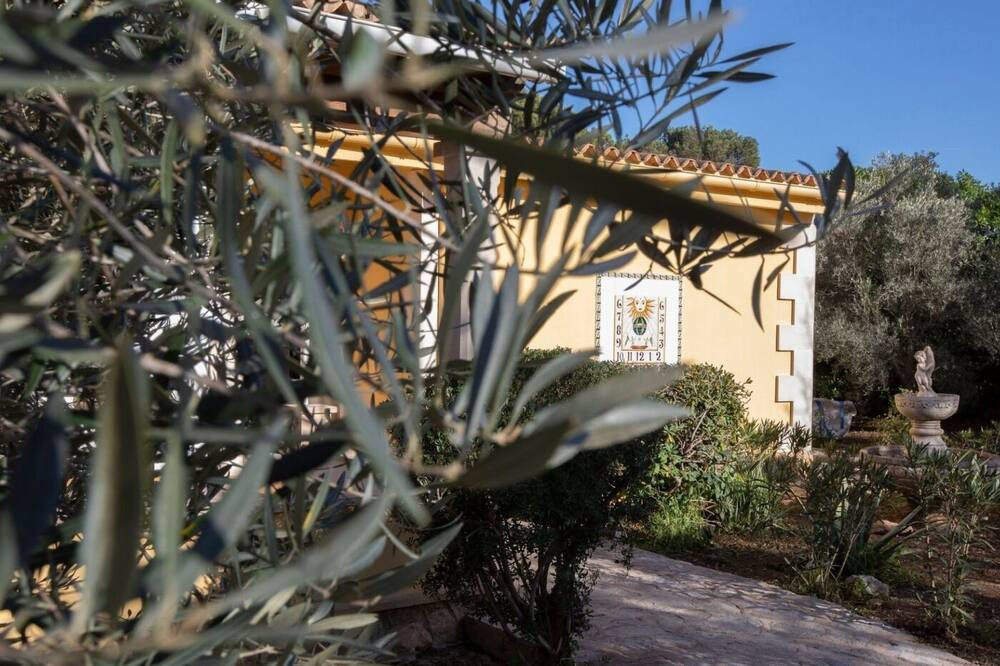 Photo of Outdoor in Santa Ponsa