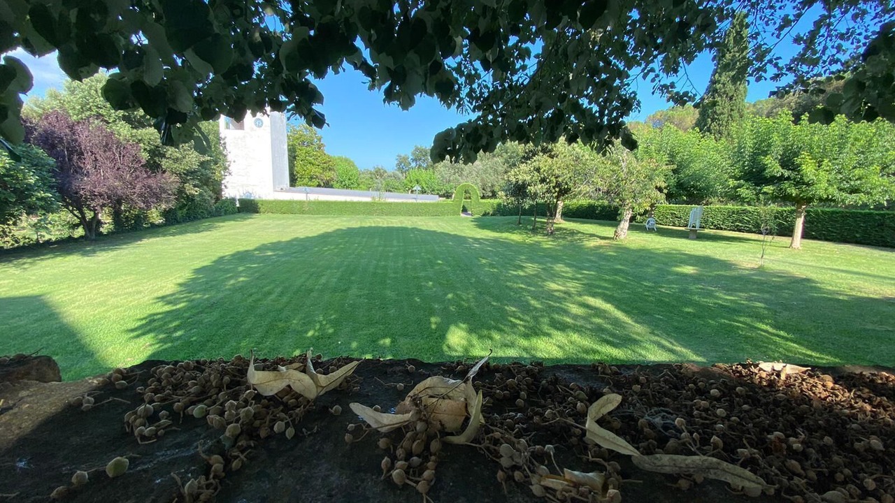 Photo of Patio Balcony in Santa Maria de Solius