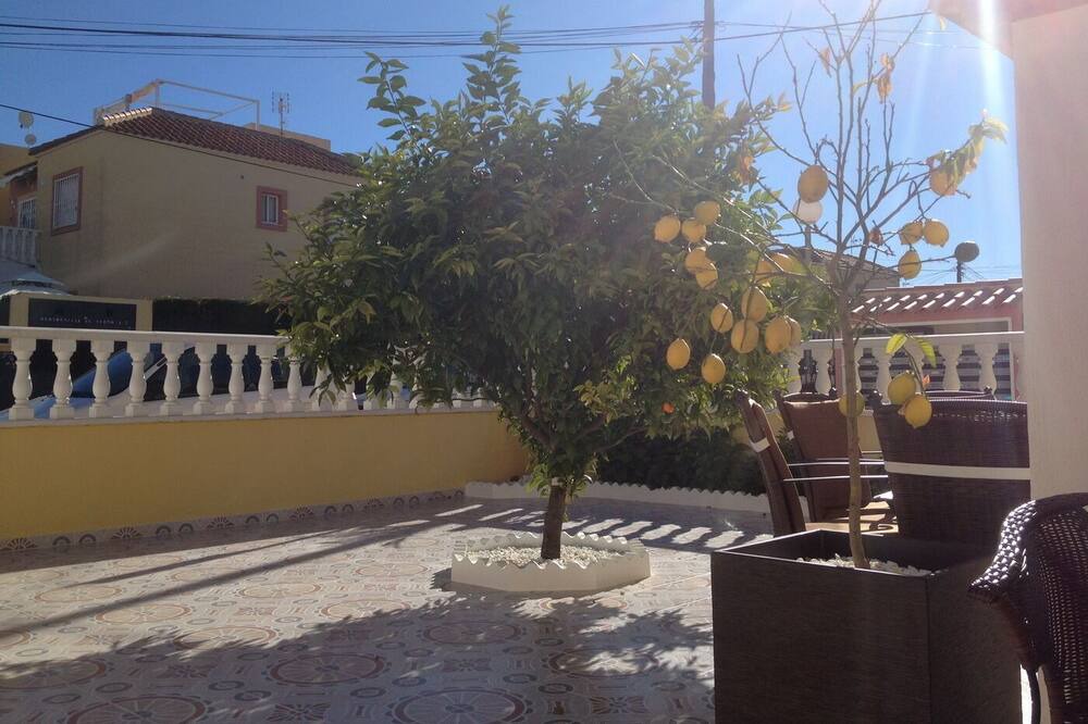 Photo of Others in La Siesta