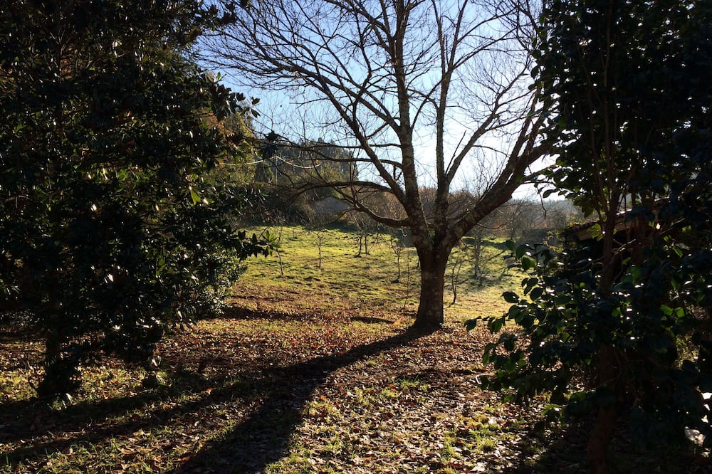 Photo of Outdoor in Callobre