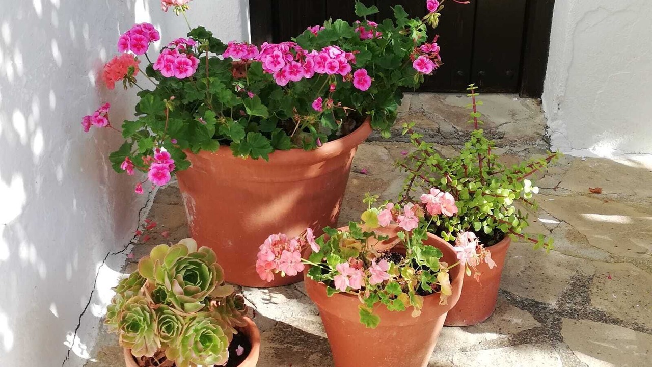 Photo of Outdoor in Villanueva de Tapia